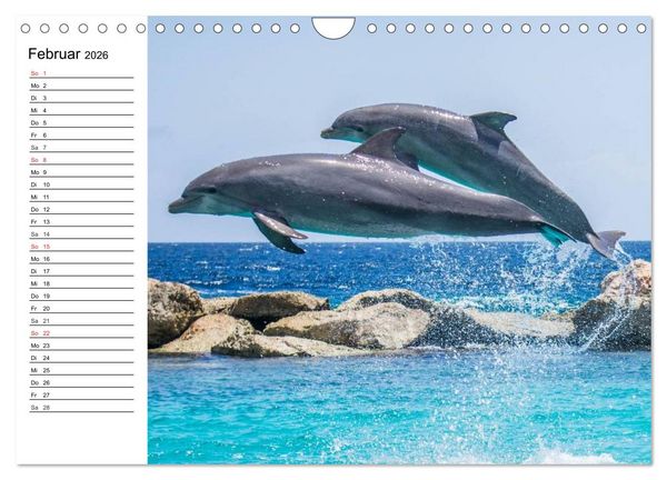 Produktbild: Delfine - L&auml;chelnde Intelligenz (Wandkalender 2026 DIN A4 quer), CALVENDO Monatskalender