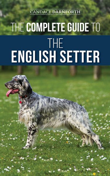 Produktbild: The Complete Guide to the English Setter