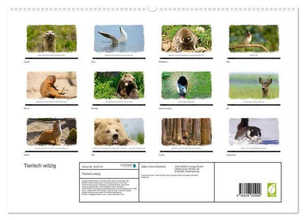 Produktbild: Tierisch witzig (hochwertiger Premium Wandkalender 2026 DIN A2 quer), Kunstdruck in Hochglanz