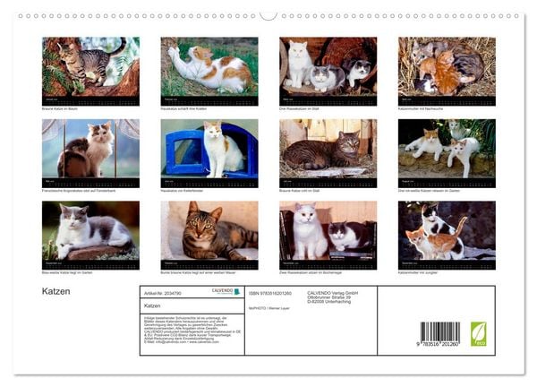 Produktbild: Katzen (hochwertiger Premium Wandkalender 2026 DIN A2 quer), Kunstdruck in Hochglanz