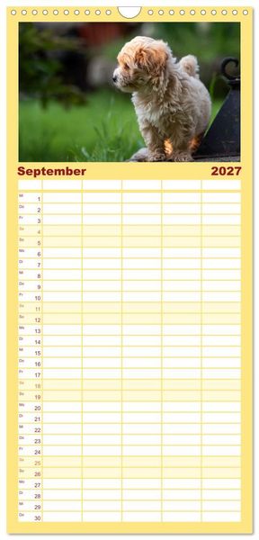 Produktbild: Familienplaner 2027 - Maltipoo Welpen mit 5 Spalten (Wandkalender, 21 x 45 cm) CALVENDO