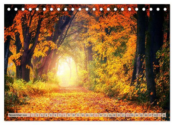 Produktbild: Leise durch den Wald. Sich Zeit nehmen und der Stille lauschen (Tischkalender 2026 DIN A5 quer), CALVENDO Monatskalender