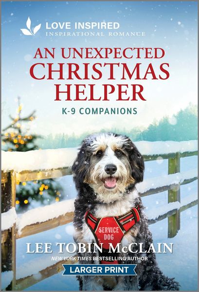 Produktbild: An Unexpected Christmas Helper