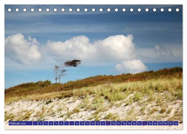 Produktbild: Weststrand Dar&szlig; (Tischkalender 2026 DIN A5 quer), CALVENDO Monatskalender