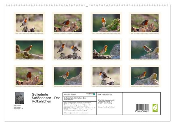 Produktbild: Gefiederte Sch&ouml;nheiten - Das Rotkehlchen (hochwertiger Premium Wandkalender 2026 DIN A2 quer), Kunstdruck in Hochglanz