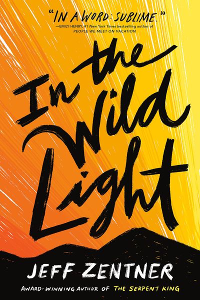 Produktbild: In the Wild Light
