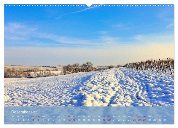 Produktbild: Wanderparadies S&uuml;dpfalz (Wandkalender 2026 DIN A2 quer), CALVENDO Monatskalender