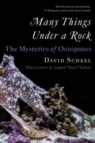Produktbild: Many Things Under a Rock