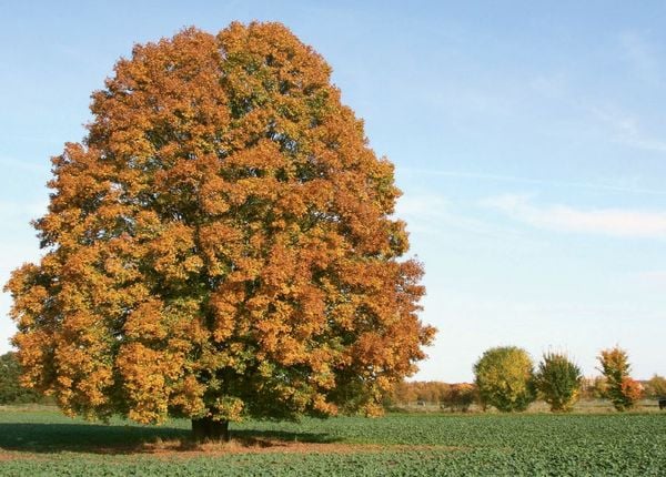 Produktbild: Foto-Bildkarten Stressmanagement