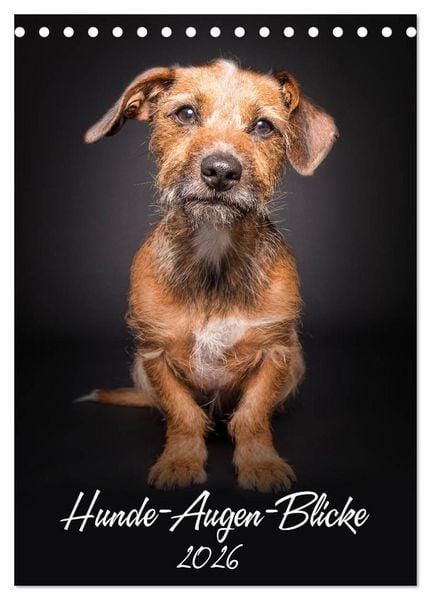 Produktbild: Hunde-Augen-Blicke (Tischkalender 2026 DIN A5 hoch), CALVENDO Monatskalender