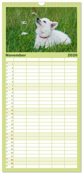 Produktbild: Familienplaner 2026 - Wei&szlig;er Schweizer Sch&auml;ferhund - Ein Tag im Leben einer Hundefamilie mit 5 Spalten (Wandkalender, 21 x 45 cm) CALVENDO