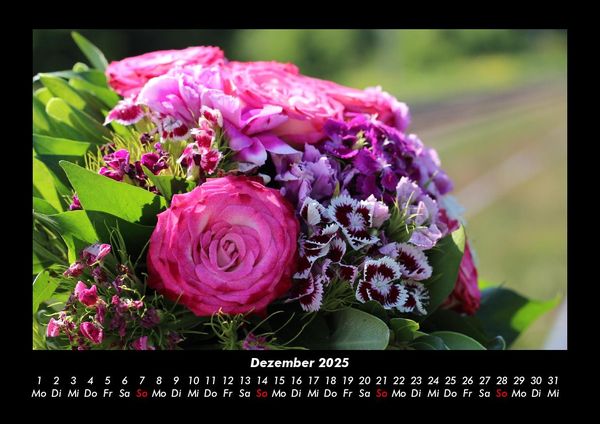 Produktbild: Pflanzen und Bl&uuml;ten 2025 Fotokalender DIN A3