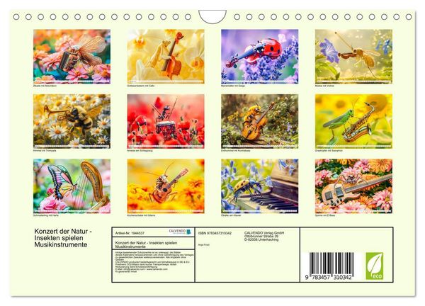 Produktbild: Konzert der Natur - Insekten spielen Musikinstrumente (Wandkalender 2026 DIN A4 quer), CALVENDO Monatskalender