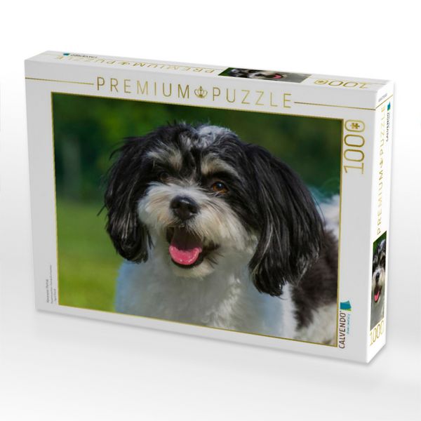 Produktbild: CALVENDO Puzzle Havaneser Portr&auml;t | 1000 Teile Lege-Gr&ouml;&szlig;e 64x48cm Foto-Puzzle f&uuml;r gl&uuml;ckliche Stunden