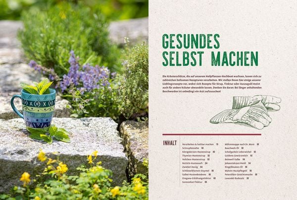 Produktbild: Mein Heilpflanzen-Hochbeet