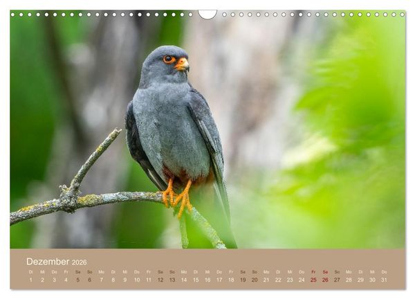 Produktbild: Jenseits der Z&auml;une (Wandkalender 2026 DIN A3 quer), CALVENDO Monatskalender