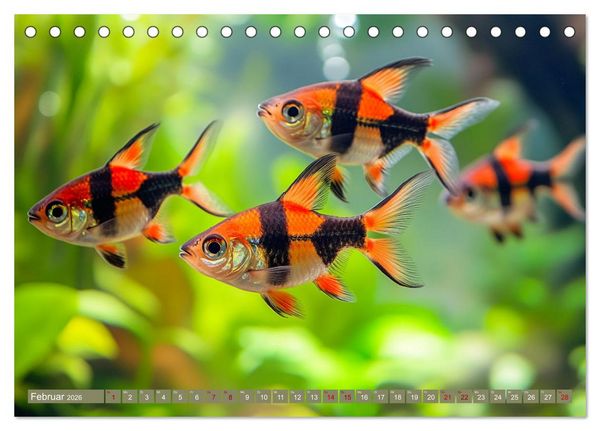Produktbild: Tiefenentspanntes Aquarium (Tischkalender 2026 DIN A5 quer), CALVENDO Monatskalender