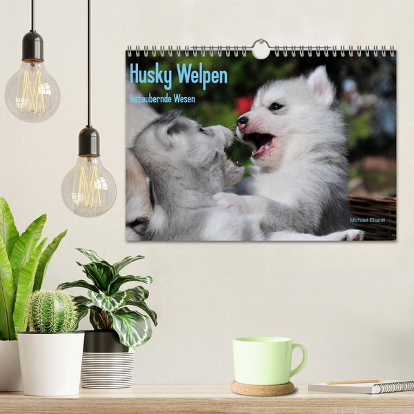 Produktbild: Husky Welpen (Wandkalender 2026 DIN A4 quer), CALVENDO Monatskalender
