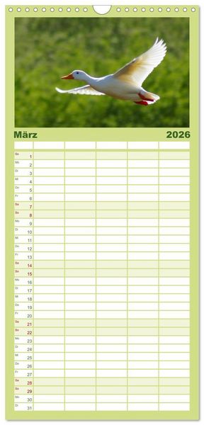 Produktbild: Familienplaner 2026 - Duck Power mit 5 Spalten (Wandkalender, 21 x 45 cm) CALVENDO