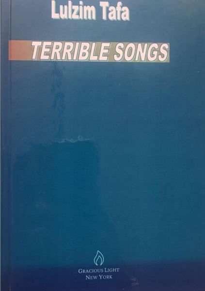 Produktbild: Terrible Songs