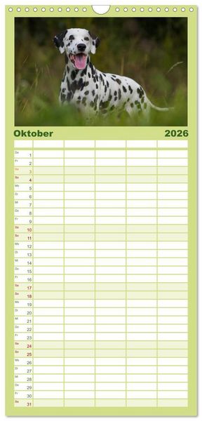 Produktbild: Familienplaner 2026 - Auf den Punkt - Dalmatiner mit 5 Spalten (Wandkalender, 21 x 45 cm) CALVENDO