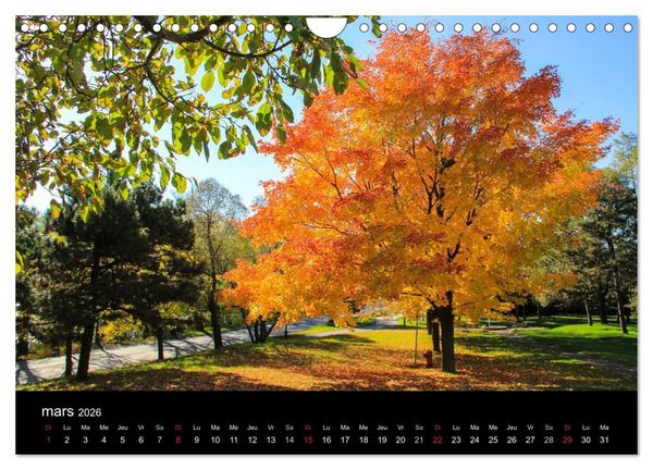 Produktbild: Paysages d'Automne au Qu&eacute;bec (Calendrier mural 2026 DIN A4 vertical), CALVENDO calendrier mensuel