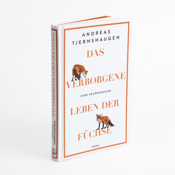 Das verborgene Leben der Füchse