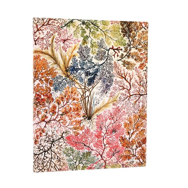 Produktbild: Softcover Notizbuch, Anemone, Ultra, Liniert