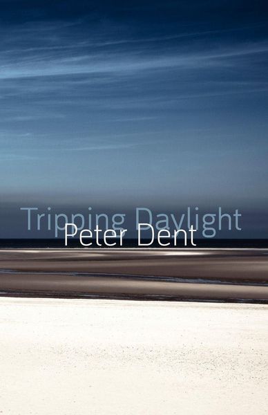 Produktbild: Tripping Daylight
