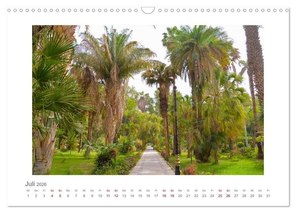 Produktbild: &Auml;gypten - unterwegs mit Julia Hahn (Wandkalender 2026 DIN A3 quer), CALVENDO Monatskalender
