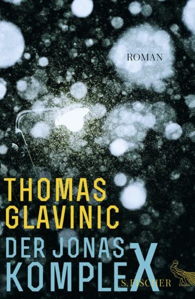 Der Jonas-Komplex, Gebundene Ausgabe von Thomas Glavinic, S. Fischer Verlag