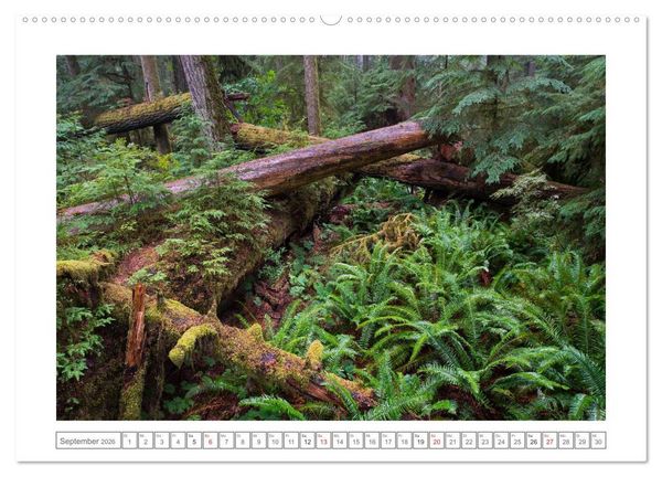 Produktbild: Vancouver Island (Wandkalender 2026 DIN A2 quer), CALVENDO Monatskalender