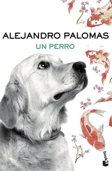 Produktbild: Un perro