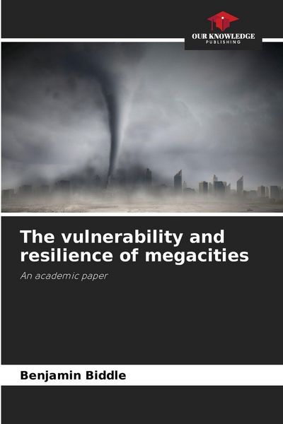 Produktbild: The vulnerability and resilience of megacities