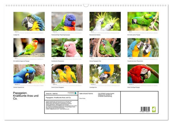 Produktbild: Papageien. Knallbunte Aras und Co. (Wandkalender 2026 DIN A2 quer), CALVENDO Monatskalender