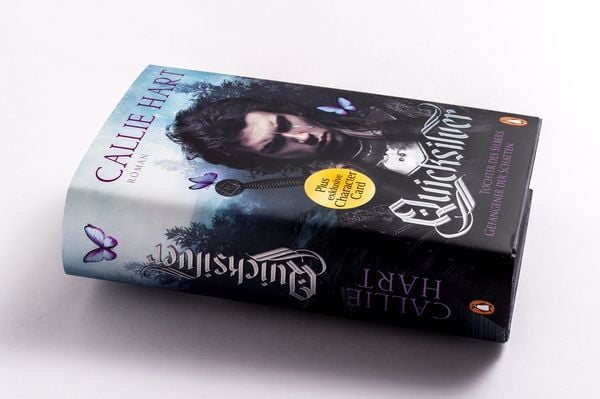 Produktbild: Quicksilver - Tochter des Silbers. Gefangener der Schatten
