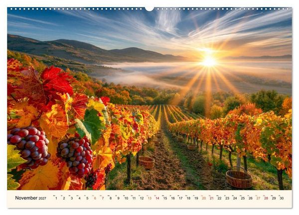 Produktbild: Wein - Tradition &middot; Kellerkunst &middot; Herkunft (hochwertiger Premium Wandkalender 2027 DIN A2 quer), Kunstdruck in Hochglanz