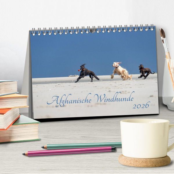 Produktbild: AFGHANISCHE WINDHUNDE 2026 (Tischkalender 2026 DIN A5 quer), CALVENDO Monatskalender