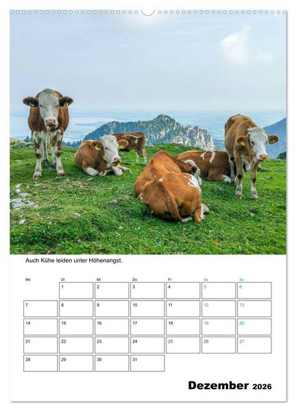 Produktbild: Liebenswerte Landtiere (Wandkalender 2026 DIN A2 hoch), CALVENDO Monatskalender