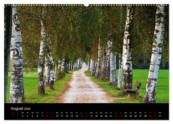 Produktbild: Der Waldspaziergang (hochwertiger Premium Wandkalender 2026 DIN A2 quer), Kunstdruck in Hochglanz