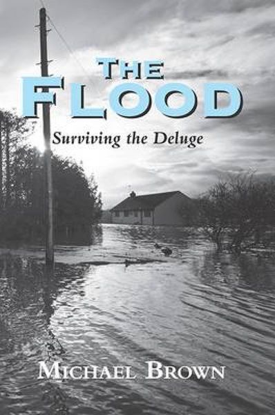 Produktbild: The Flood