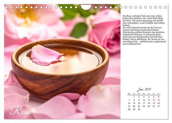 Produktbild: Heilsame Aroma&ouml;le (Wandkalender 2027 DIN A4 quer), CALVENDO Monatskalender