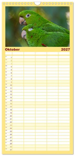 Produktbild: Familienplaner 2027 - Aras und bunte Sittiche: Exotische Papageien-Portr&auml;ts mit 5 Spalten (Wandkalender, 21 x 45 cm) CALVENDO