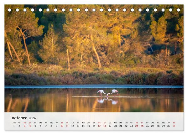 Produktbild: Majorque - Une &icirc;le &agrave; couper le souffle en M&eacute;diterran&eacute;e (Calendrier de bureau 2026 DIN A5 vertical), CALVENDO calendrier mensuel