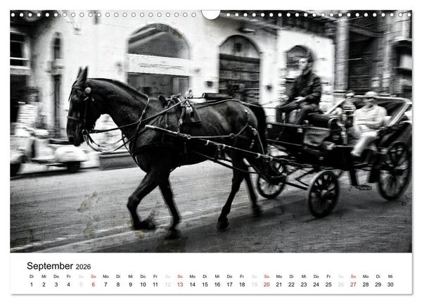 Produktbild: Silberstein portr&auml;tiert Palermo (Wandkalender 2026 DIN A3 quer), CALVENDO Monatskalender