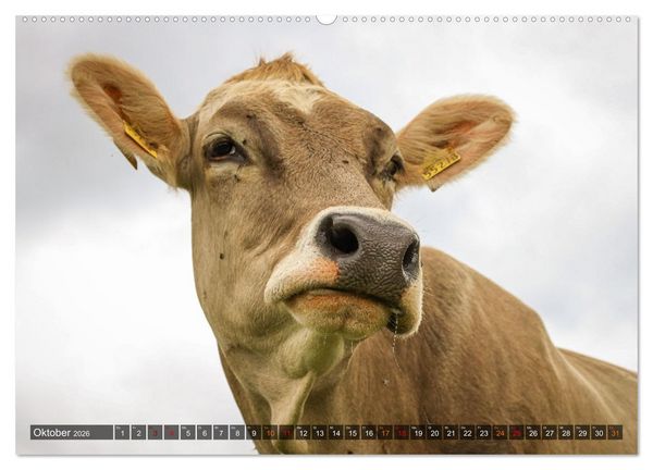 Produktbild: Naturparadies Allg&auml;u - Von Oberstdorf bis F&uuml;ssen (Wandkalender 2026 DIN A2 quer), CALVENDO Monatskalender