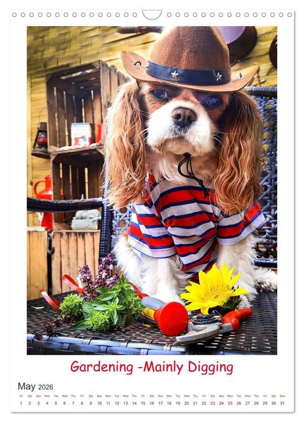 Produktbild: The Adventurous Life of two Daring Cavaliers (Wall Calendar 2026 DIN A3 portrait), CALVENDO 12 Month Wall Calendar