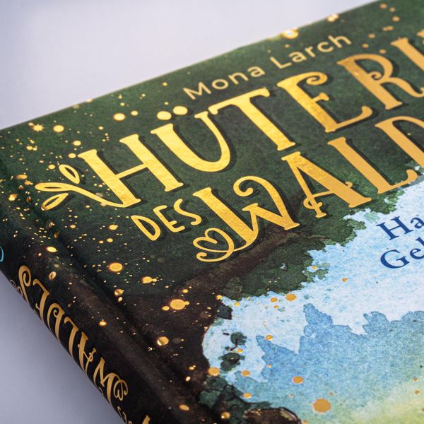 Produktbild: H&uuml;terin des Waldes 1: Hannas Geheimnis