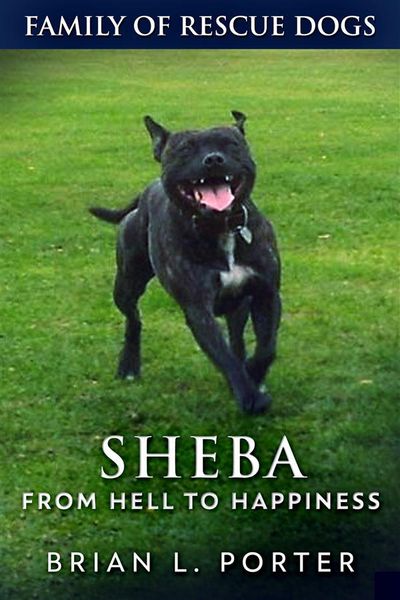 Produktbild: Sheba - From Hell to Happiness
