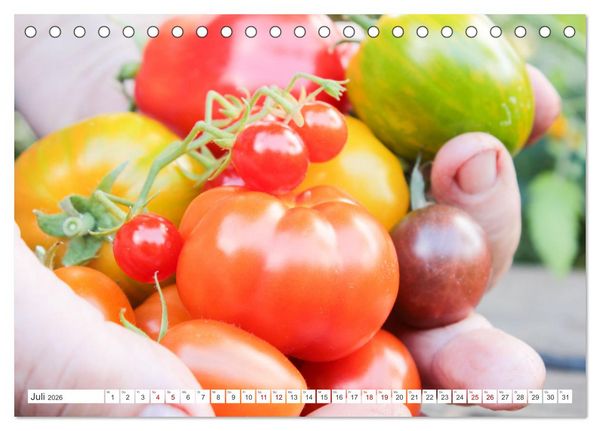 Produktbild: Alte Historische Tomaten (Tischkalender 2026 DIN A5 quer), CALVENDO Monatskalender